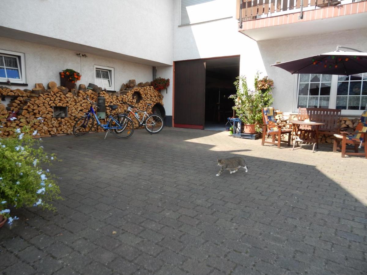 Ferienweinhaus Roemer-Knodt Krov Ngoại thất bức ảnh