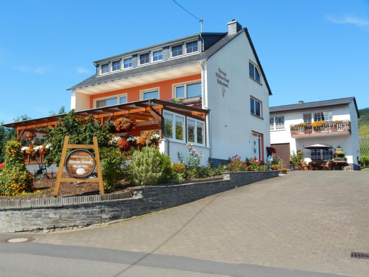 Ferienweinhaus Roemer-Knodt Krov Ngoại thất bức ảnh
