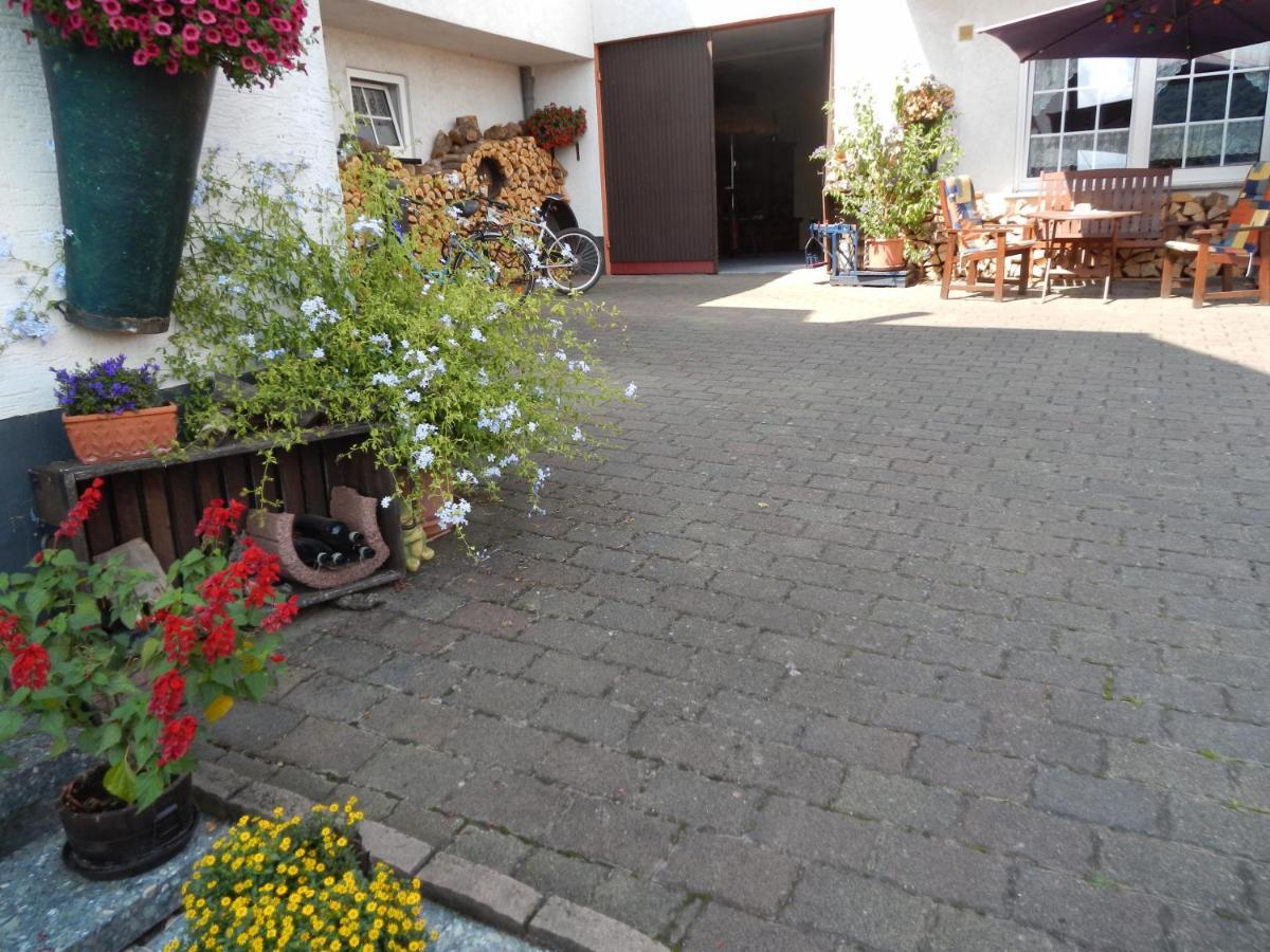Ferienweinhaus Roemer-Knodt Krov Ngoại thất bức ảnh